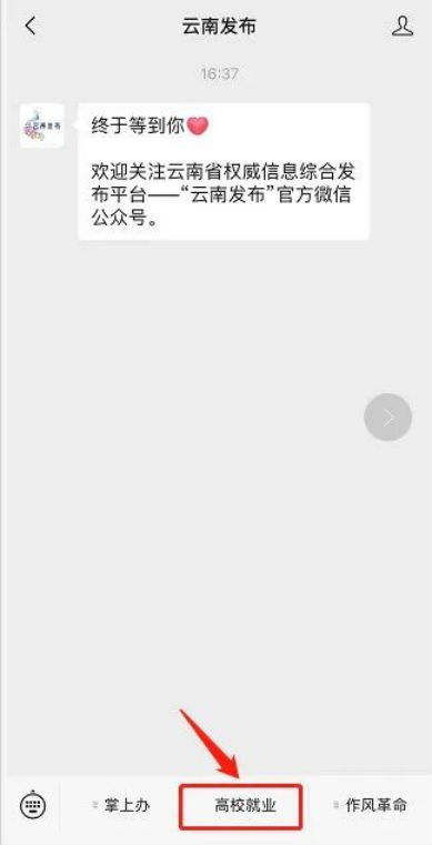 青春圆梦助你行！ 云南高校毕业生就业创业政策网络知识问答今日上线 第 3 张