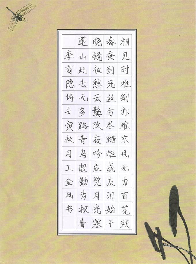 王金凤 优秀奖.jpg 王金凤 优秀奖.jpg