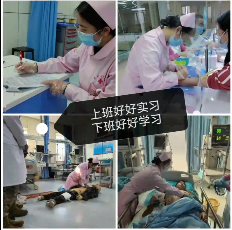 “研”路相伴,筑梦起航丨护理学、助产学专业开展考研经验分享交流会 第 3 张 “研”路相伴,筑梦起航丨护理学、助产学专业开展考研经验分享交流会 第 3 张