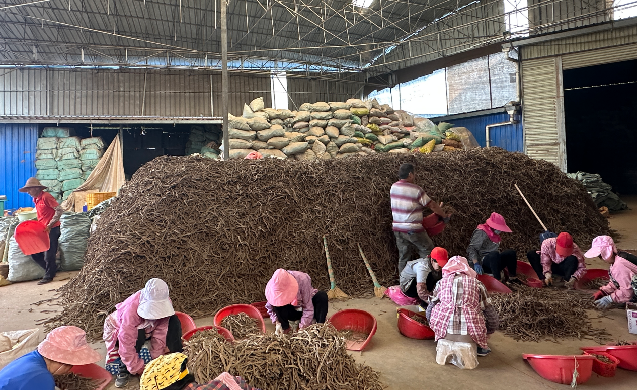 斩获全国银奖,这个团队让侠界奇药照见现实⁉️ 第 1 张 斩获全国银奖,这个团队让侠界奇药照见现实⁉️ 第 1 张