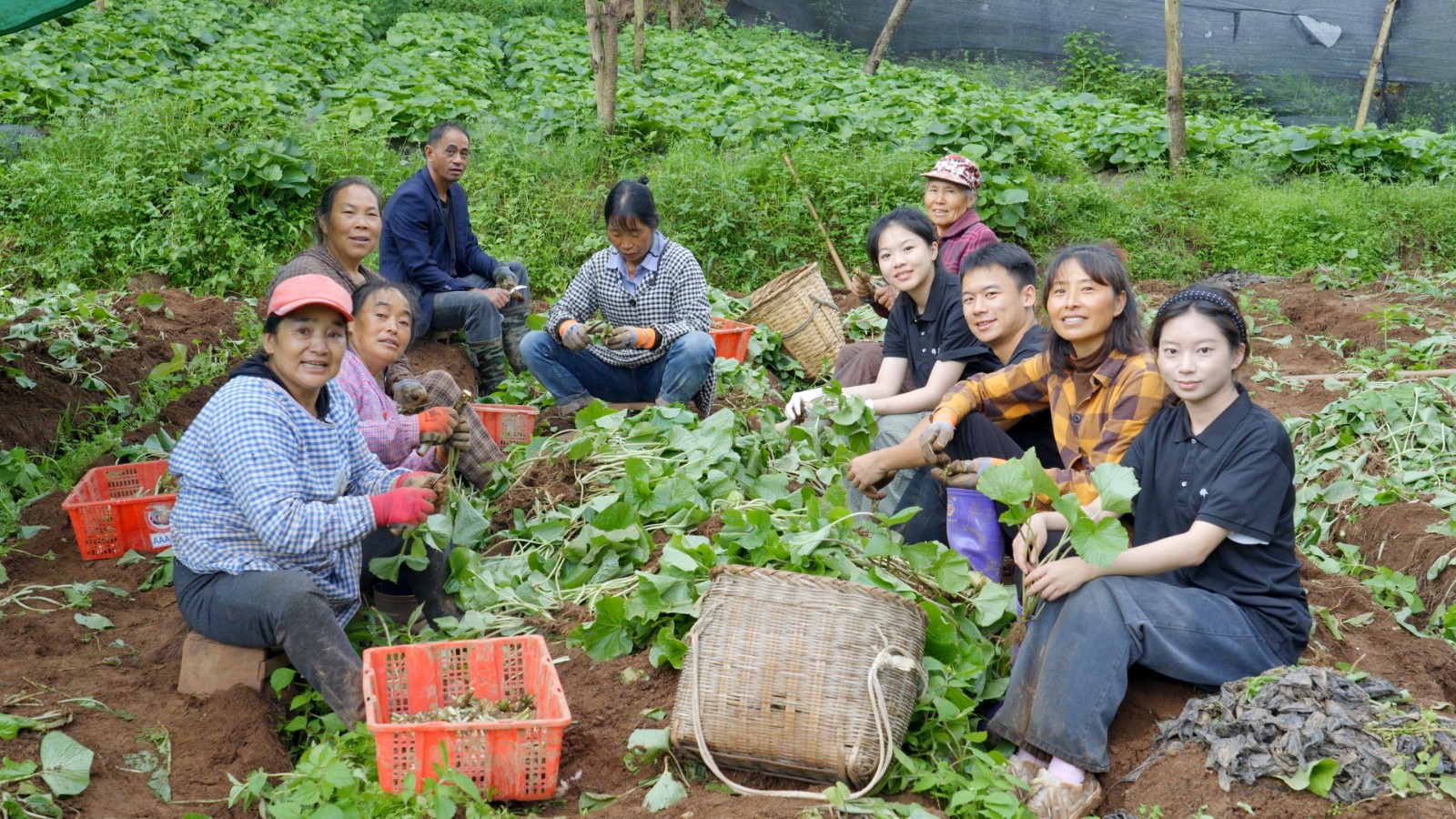 太上头了🤤,这个蘸料经管人研发的! 第 9 张 太上头了🤤,这个蘸料经管人研发的! 第 9 张