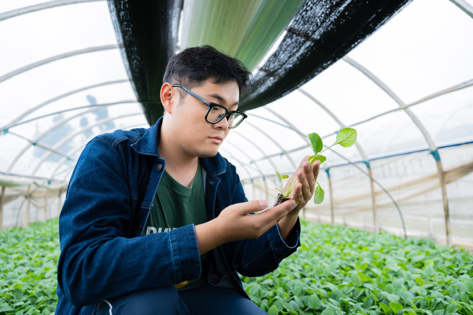 斩获全国银奖,这个团队让侠界奇药照见现实⁉️ 第 3 张 斩获全国银奖,这个团队让侠界奇药照见现实⁉️ 第 3 张