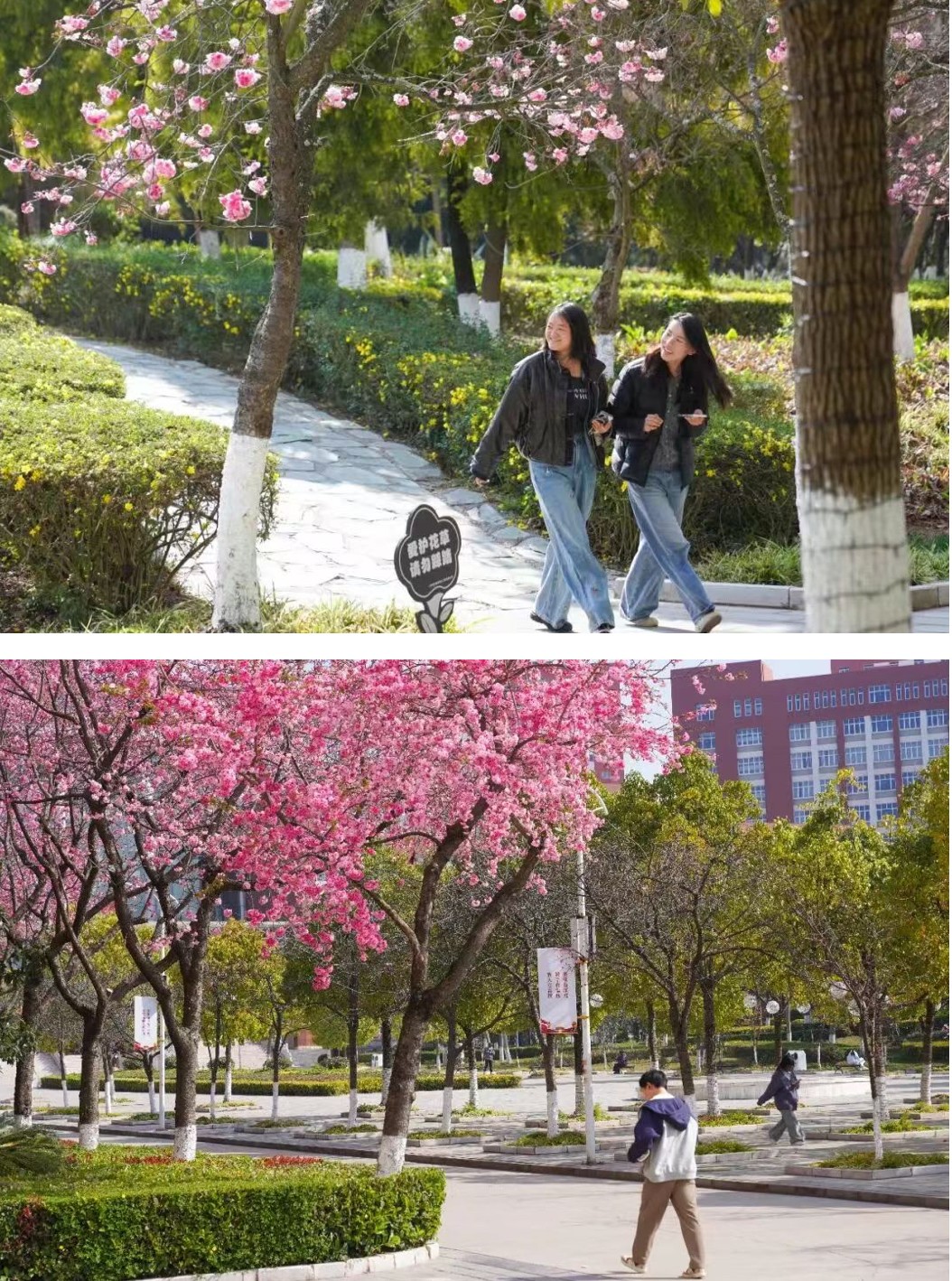 今天，云经管开学第一天！ 第 14 张