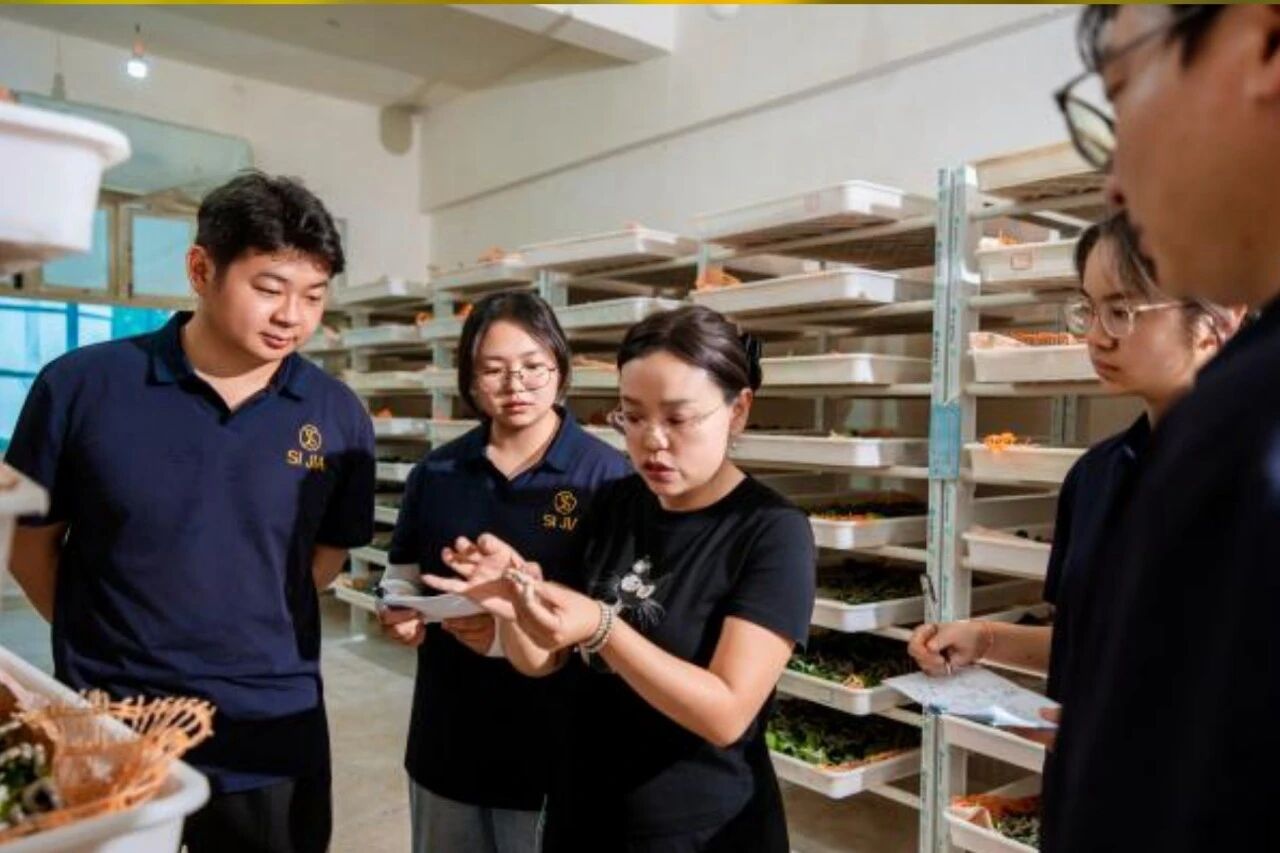 挑战杯省级一等奖双创团队奔赴云南省农科院蚕桑一线研学 第 1 张
