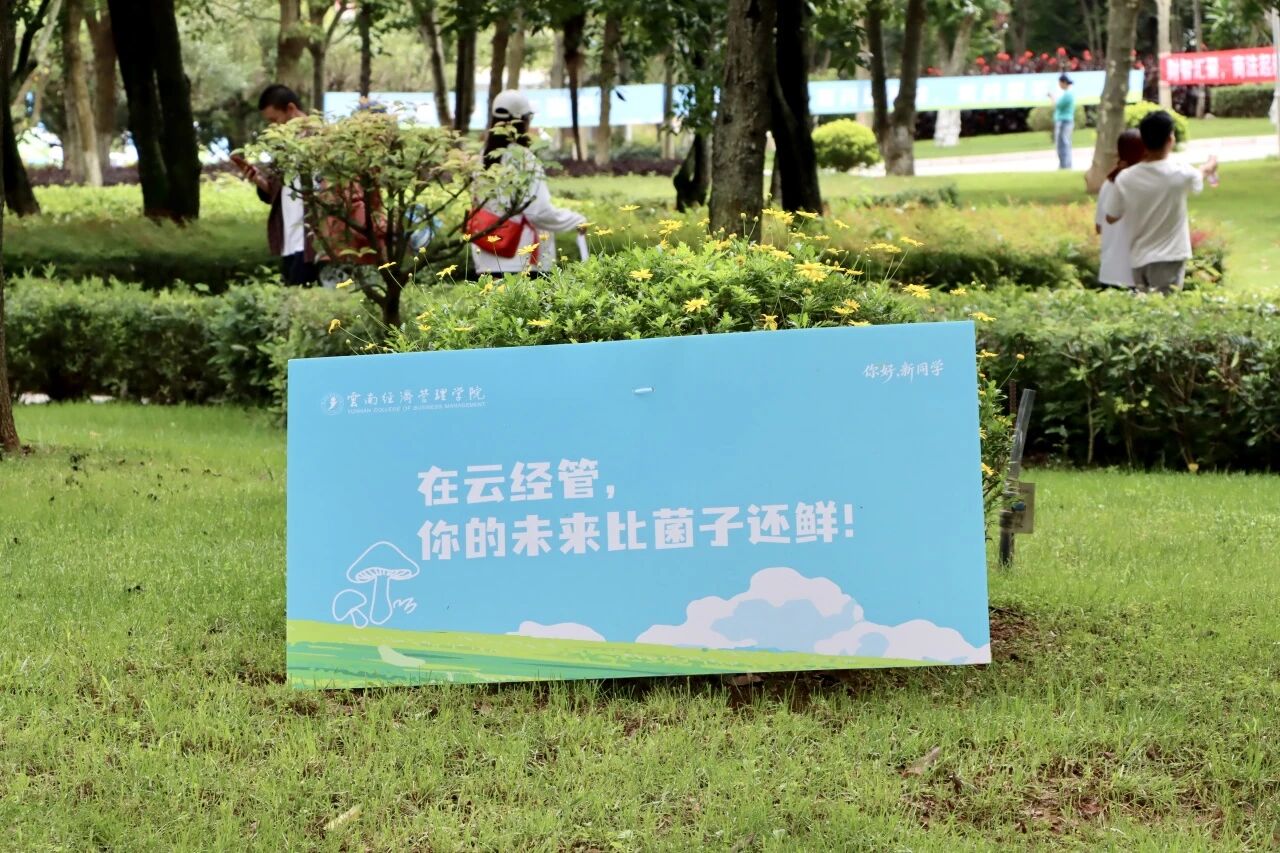 以温情护新程，以初心赴医梦｜医学院2026级迎新纪实 第 2 张